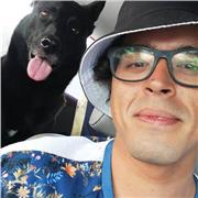 PROFESOR EN DERECHO (PENAL, PROCESAL, CIVIL, GRADO)